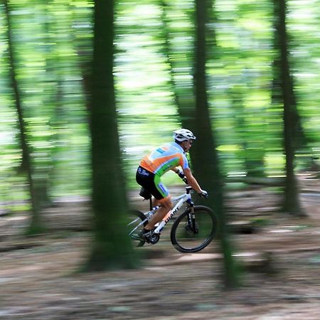 פוטן Chalet Op De Veluwe # Linde מראה חיצוני תמונה