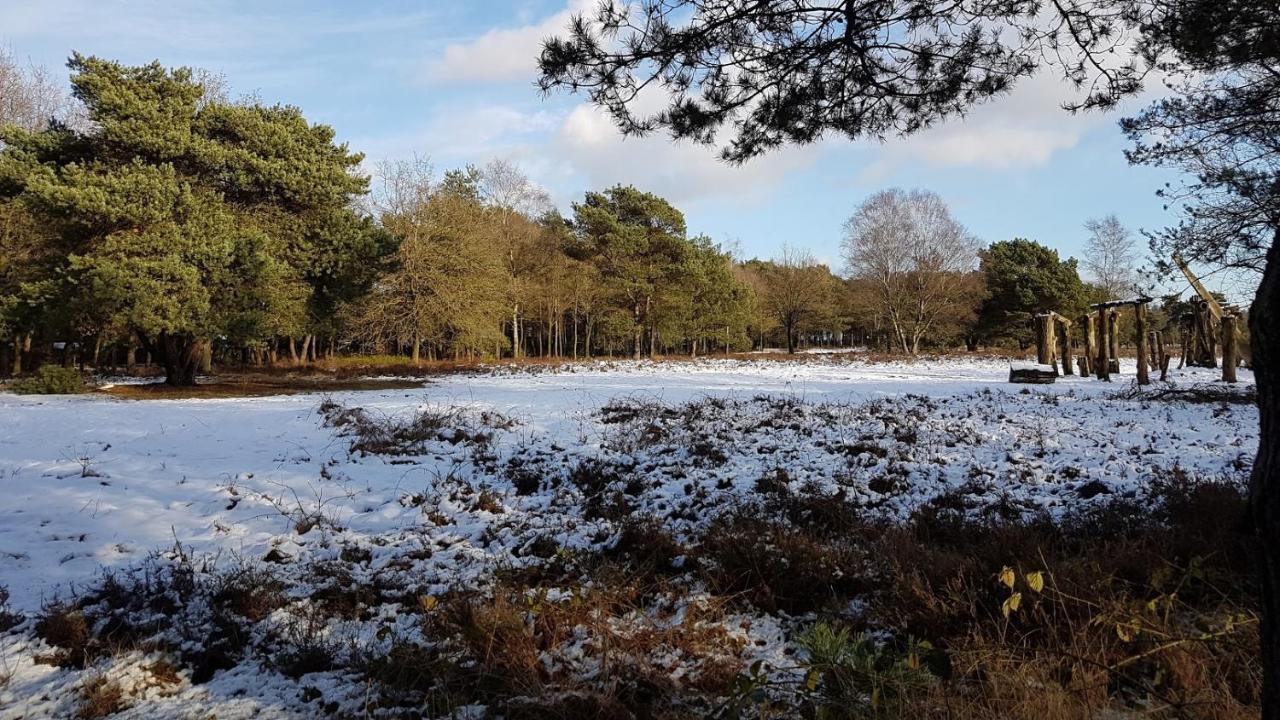 פוטן Chalet Op De Veluwe # Linde מראה חיצוני תמונה
