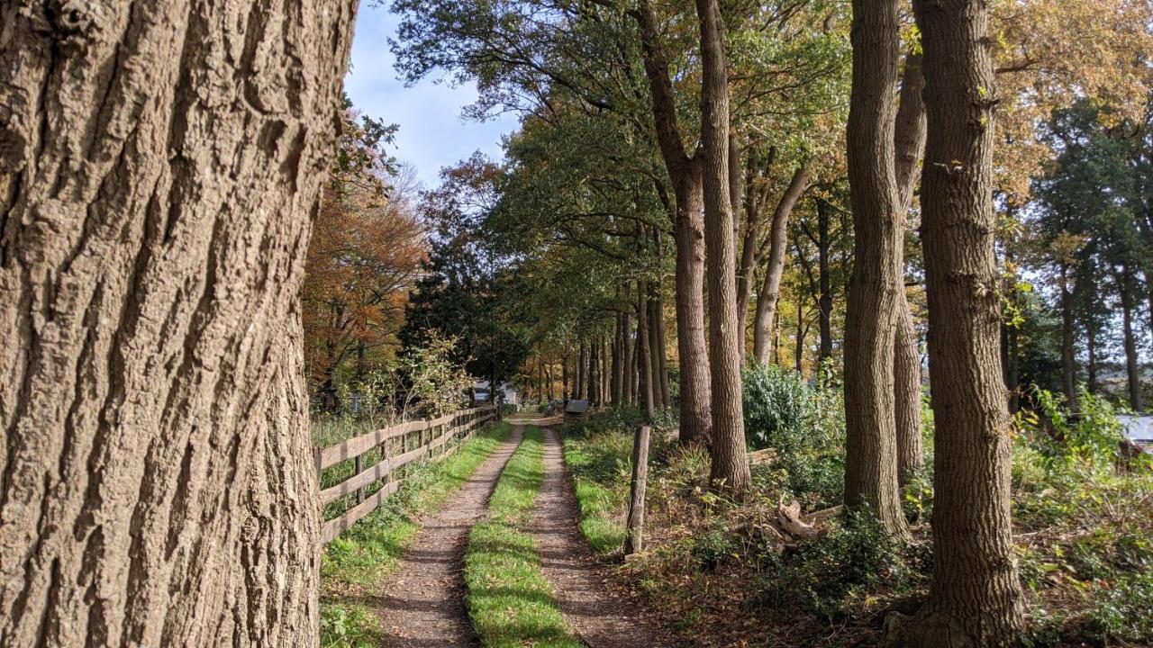 פוטן Chalet Op De Veluwe # Linde מראה חיצוני תמונה