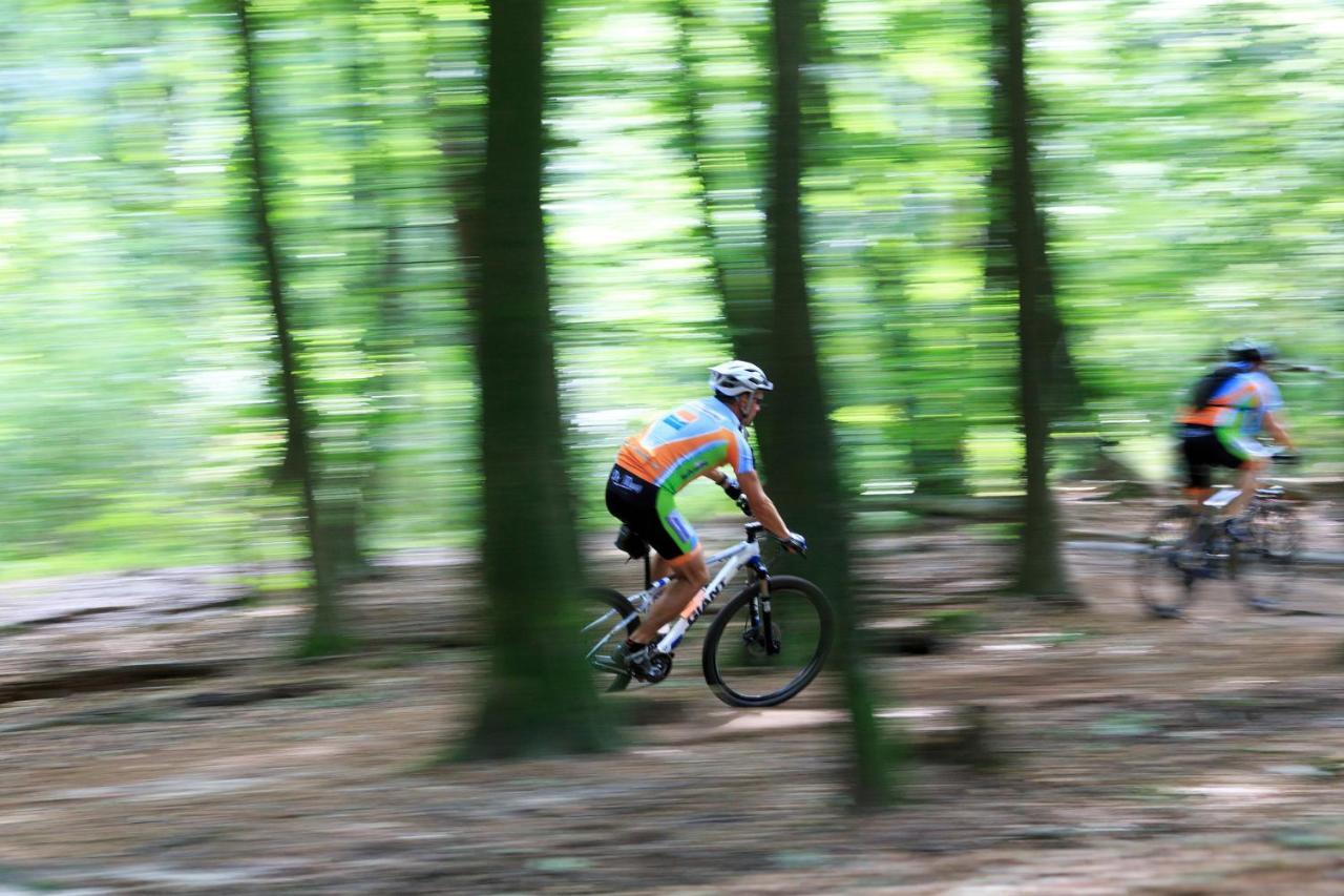 פוטן Chalet Op De Veluwe # Linde מראה חיצוני תמונה