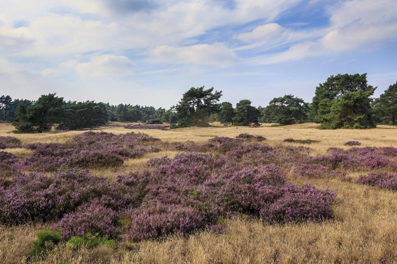 פוטן Chalet Op De Veluwe # Linde מראה חיצוני תמונה